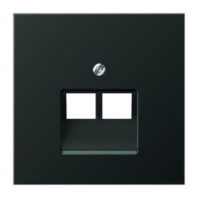 Jung AL 2969-2 UA AN cover, for IAE/UAE connection and datad. Cat. 5e and Cat. 6 (2 x 8- police