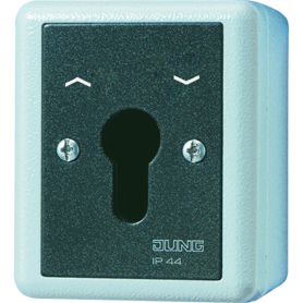Jung 834.28 G key switch, 10 AX, 250 V , aluminum die casting, blind turntable 2-pole